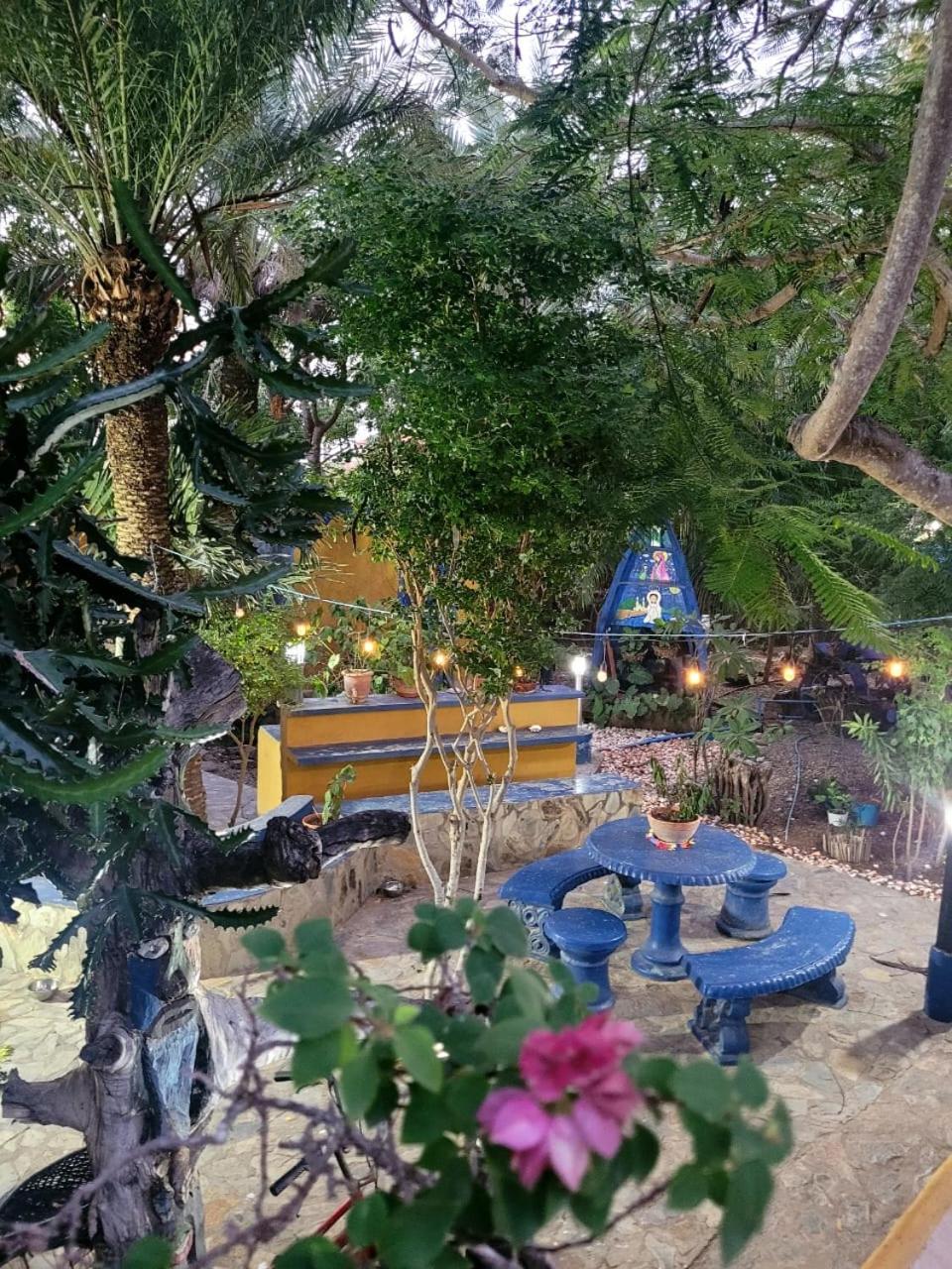 Hotel StevieWonderLand Playa El Yaque Exterior foto