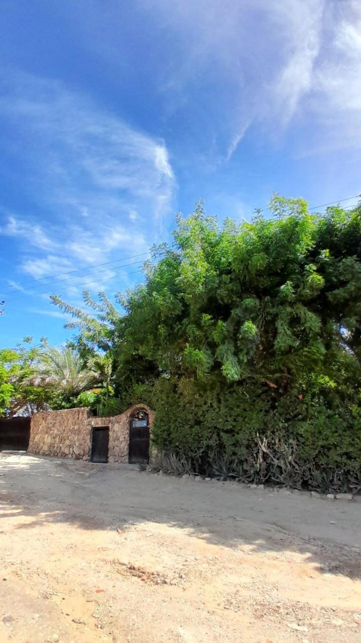 Hotel StevieWonderLand Playa El Yaque Exterior foto