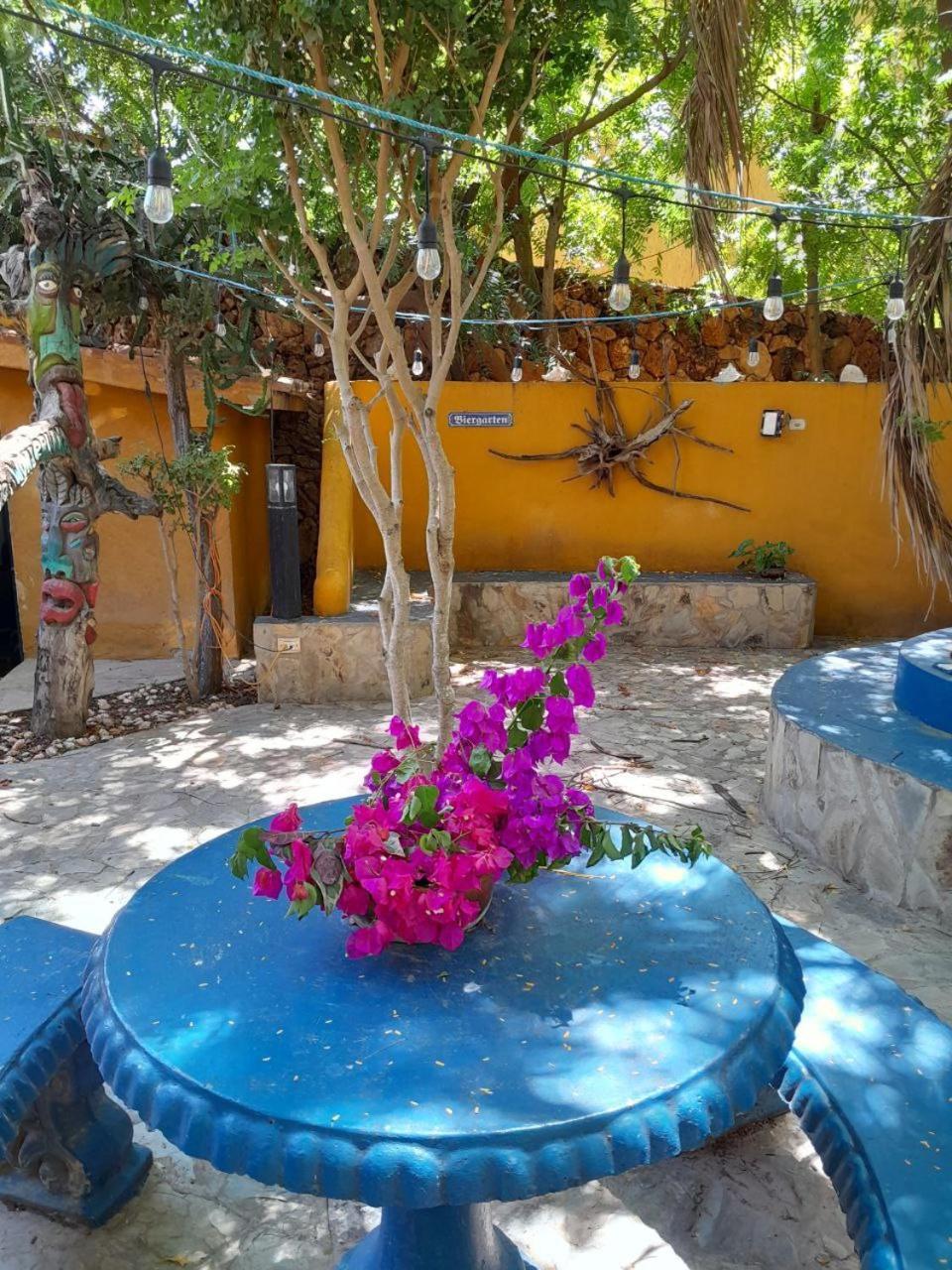 Hotel StevieWonderLand Playa El Yaque Exterior foto