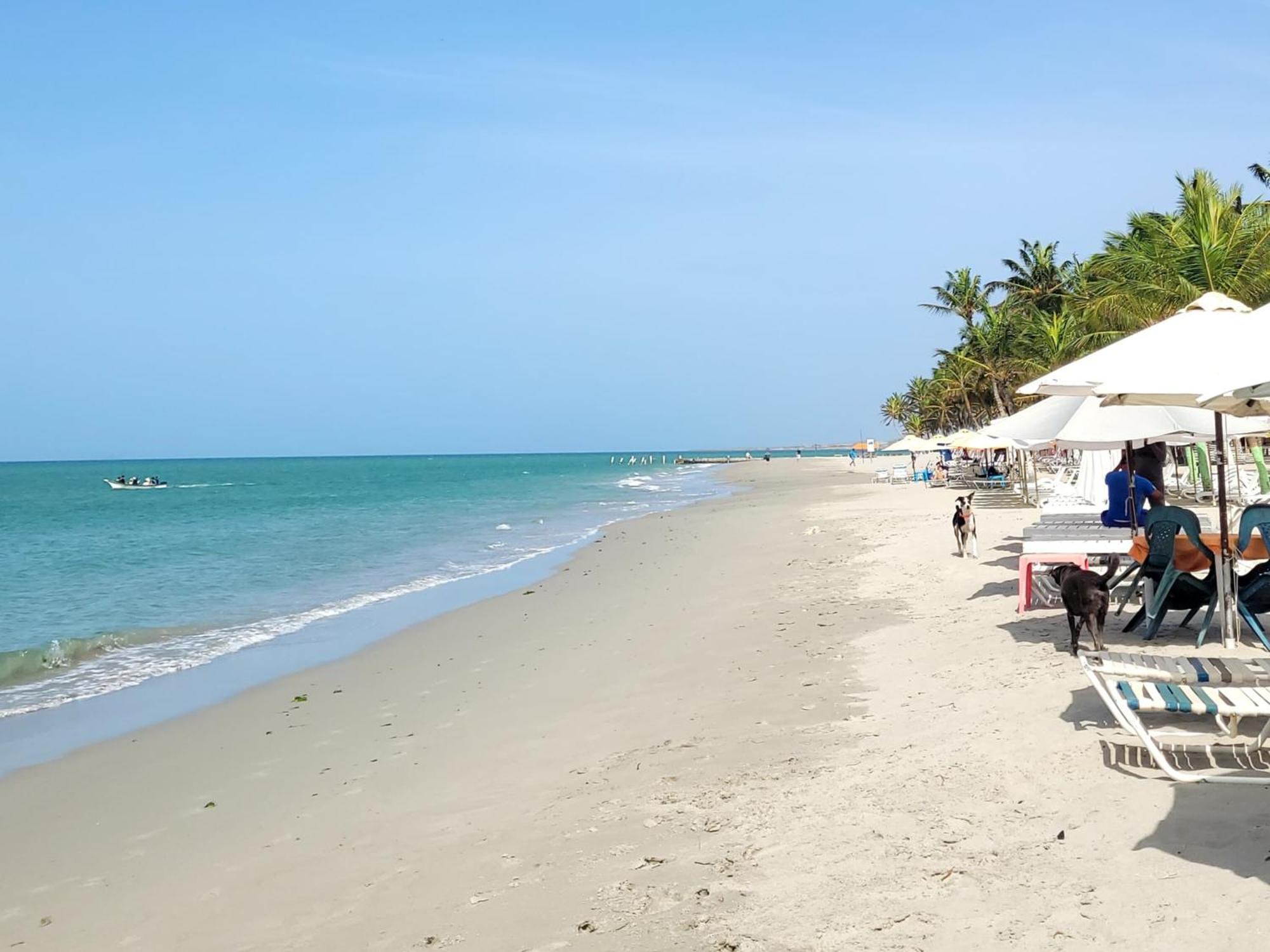 Hotel StevieWonderLand Playa El Yaque Exterior foto